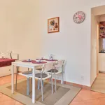 Rent 1 bedroom apartment of 43 m² in Prague