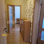 Rent 4 bedroom apartment of 73 m² in Zlín