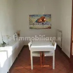 Rent 3 bedroom house of 100 m² in Bologna