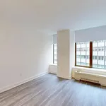 Rent 1 bedroom apartment in Manhattan