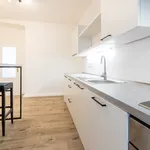 Rent 3 bedroom apartment of 76 m² in zizkov