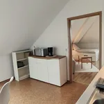 Rent 1 bedroom apartment of 33 m² in Halle (Saale)