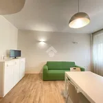 Rent 1 bedroom apartment of 65 m² in Fiorenzuola d'Arda