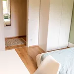 Rent a room in berlin