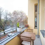 Rent 2 bedroom apartment of 80 m² in berlin