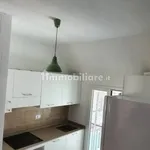 Rent 4 bedroom apartment of 86 m² in Pisa