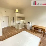 Rent 1 bedroom apartment in Capital City of Prague