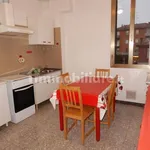 Rent 3 bedroom apartment of 57 m² in Bologna