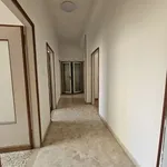 Rent 5 bedroom apartment of 130 m² in Bologna