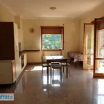 Rent 2 bedroom apartment of 55 m² in Rome