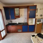 Rent 3 bedroom apartment of 65 m² in Alba Adriatica