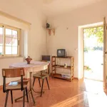 Rent a room of 100 m² in lisbon