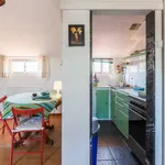 Rent 1 bedroom apartment in porto