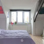 Rent 1 bedroom apartment in Gent