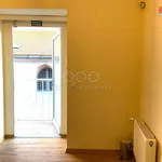 Rent 4 bedroom apartment of 110 m² in Plzeň