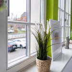 Miete 1 Schlafzimmer wohnung von 30 m² in Leipzig