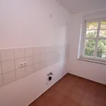 Rent 3 bedroom apartment of 55 m² in Chemnitz