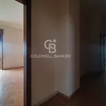 Rent 7 bedroom apartment of 214 m² in Galatina