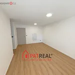 Rent 3 bedroom apartment of 441 m² in Brno