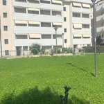 Rent 4 bedroom apartment of 130 m² in Cinisello Balsamo