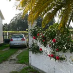 Rent 4 bedroom house of 160 m² in Pontevedra']