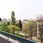 Rent 2 bedroom apartment of 70 m² in Milano