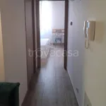 Rent 2 bedroom apartment of 60 m² in Trani