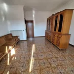 Rent 1 bedroom apartment of 100 m² in morlupo