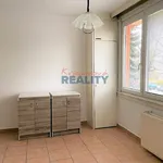 Rent 1 bedroom apartment of 45 m² in České Budějovice