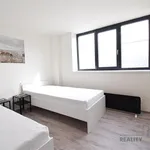 Rent 2 bedroom apartment in Brno