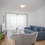 Rent 2 bedroom apartment of 65 m² in Porto