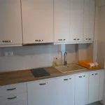 Rent 1 bedroom apartment of 33 m² in Sithonia Municipal Unit