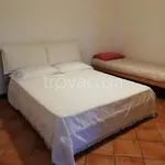 Rent 1 bedroom house of 50 m² in Monopoli