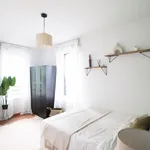 Rent 4 bedroom apartment in Lille