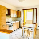 Rent 3 bedroom apartment of 70 m² in Cerreto Guidi