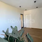 Rent 4 bedroom apartment of 84 m² in San Benedetto del Tronto