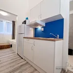 Rent 2 bedroom apartment of 30 m² in Brno