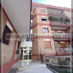 Rent 4 bedroom apartment of 100 m² in Formia