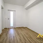 Rent 3 bedroom apartment of 84 m² in Smiřice