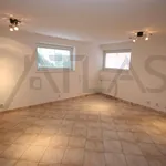 Rent 5 bedroom house of 300 m² in Prague