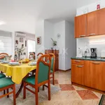 Rent 5 bedroom apartment of 240 m² in Grad Rijeka