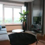 Rent 3 bedroom apartment of 63 m² in Rotterdam