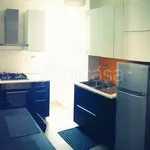 Rent 1 bedroom apartment of 40 m² in Roma