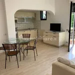 Rent 3 bedroom apartment of 65 m² in Massa