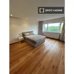 Mount Merrion Ave, Dublin - Amsterdam Apartments for Rent