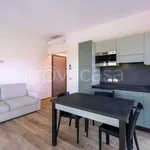 Rent 2 bedroom apartment of 50 m² in Verona