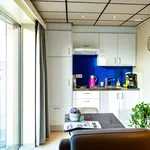 Rent 1 bedroom apartment in Sint-Laureins