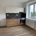 Rent 1 bedroom apartment in Břeclav