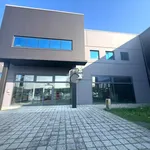 Rent 5 bedroom apartment of 800 m² in Collecchio