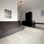 Rent 1 bedroom apartment of 30 m² in Katowice